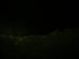 20 : 32