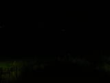 00 : 40
