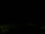 00 : 44