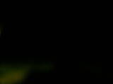 00 : 20