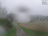 19 : 36