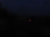 20 : 40