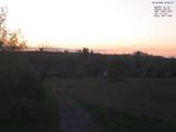 20 : 20
