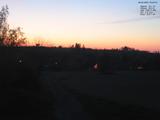 20 : 48