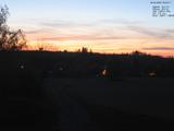 20 : 52