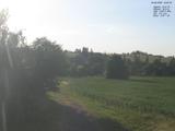 19 : 24