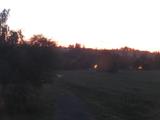 22 : 04
