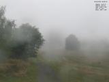 08 : 08