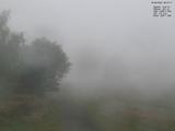 08 : 12
