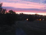 20 : 32