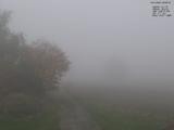 08 : 56