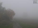 09 : 08
