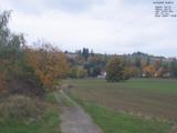 16 : 36