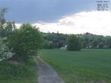 19 : 24