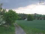 19 : 44