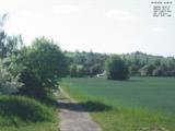 16 : 36
