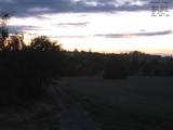 21 : 28