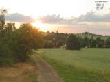20 : 40