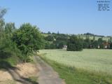 08 : 44