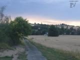 19 : 36