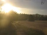 20 : 20