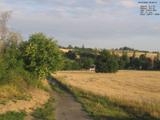 06 : 36