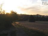 20 : 32