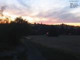 21 : 28