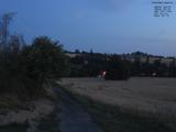 04 : 52