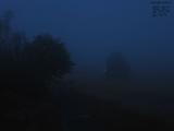 20 : 32