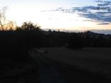20 : 36