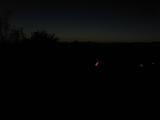 21 : 20