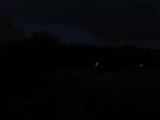 05 : 44