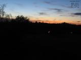 20 : 16