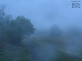 07 : 00