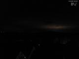 20 : 50