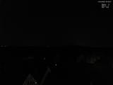 20 : 50