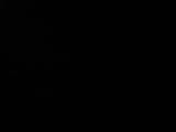 04 : 44
