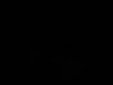 23 : 16