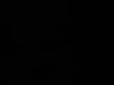 04 : 56