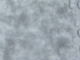 14 : 28