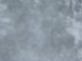 16 : 36