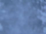 20 : 20