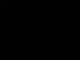 23 : 04
