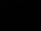 03 : 32