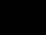 22 : 04