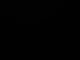 03 : 44