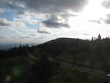 19 : 20