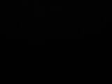 22 : 08
