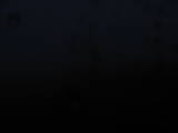 04 : 04